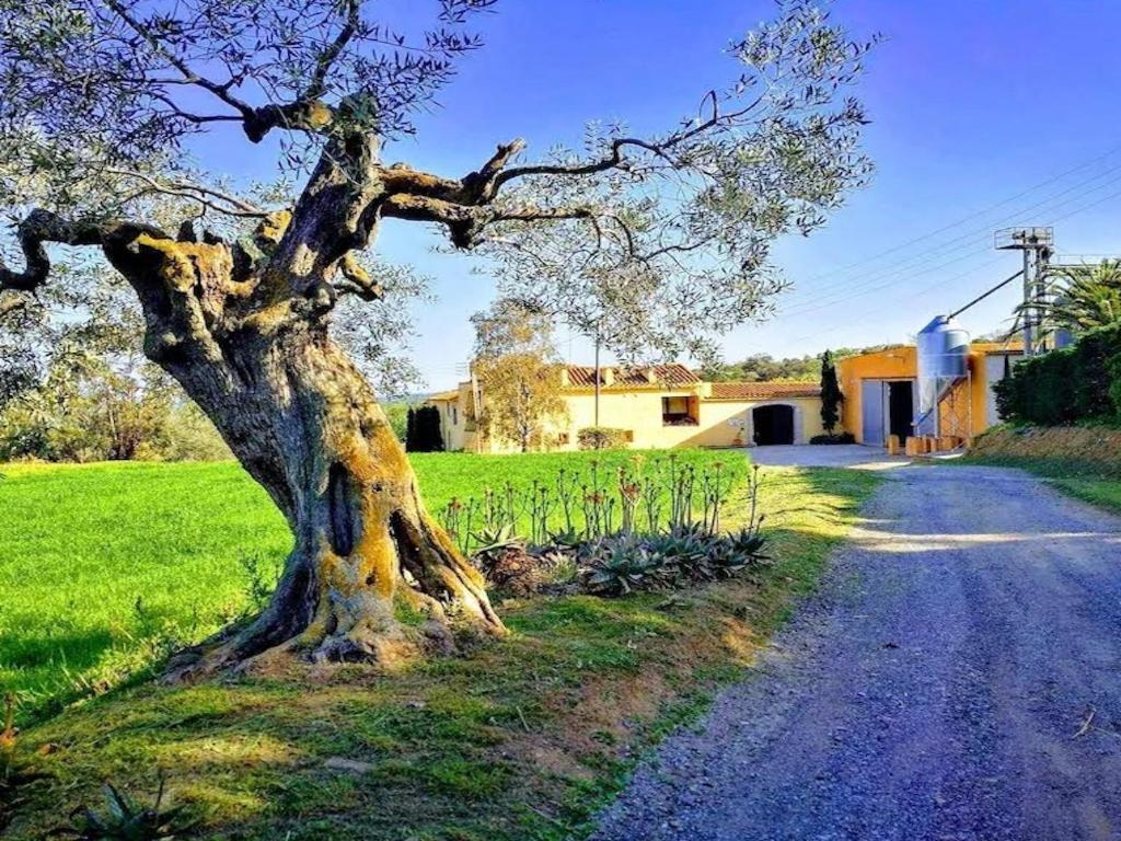 Willa Rural Mas Hortus Girona Zewnętrze zdjęcie